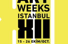 artweeks-istanbul-12-edisyonu